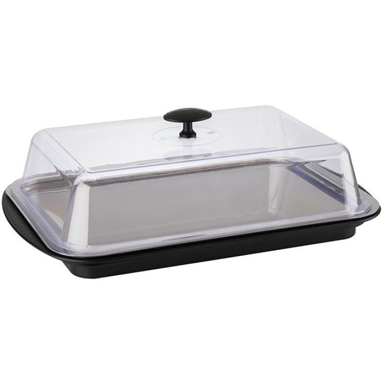 Thermo Tablett-Set kühlbar eckig 43 x 29 cm Schwarz, transparent