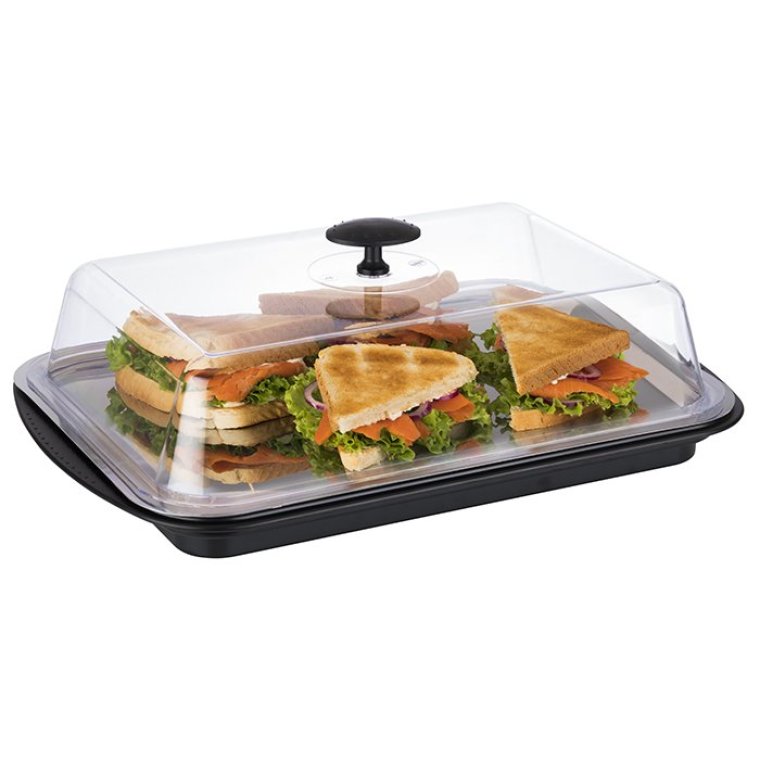 Thermo Tablett-Set kühlbar eckig 43 x 29 cm Schwarz, transparent