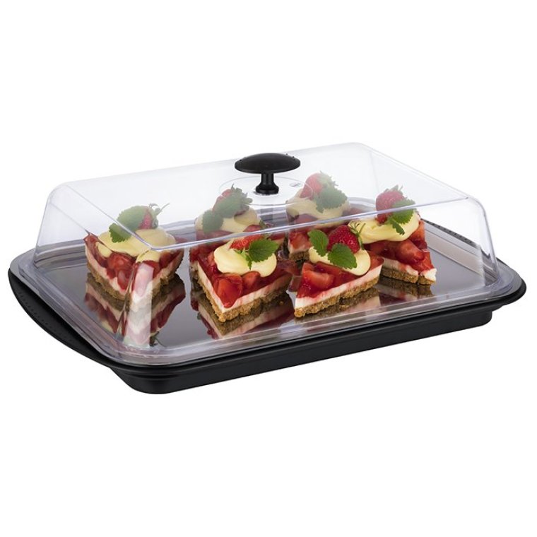 Thermo Tablett-Set kühlbar eckig 43 x 29 cm Schwarz, transparent