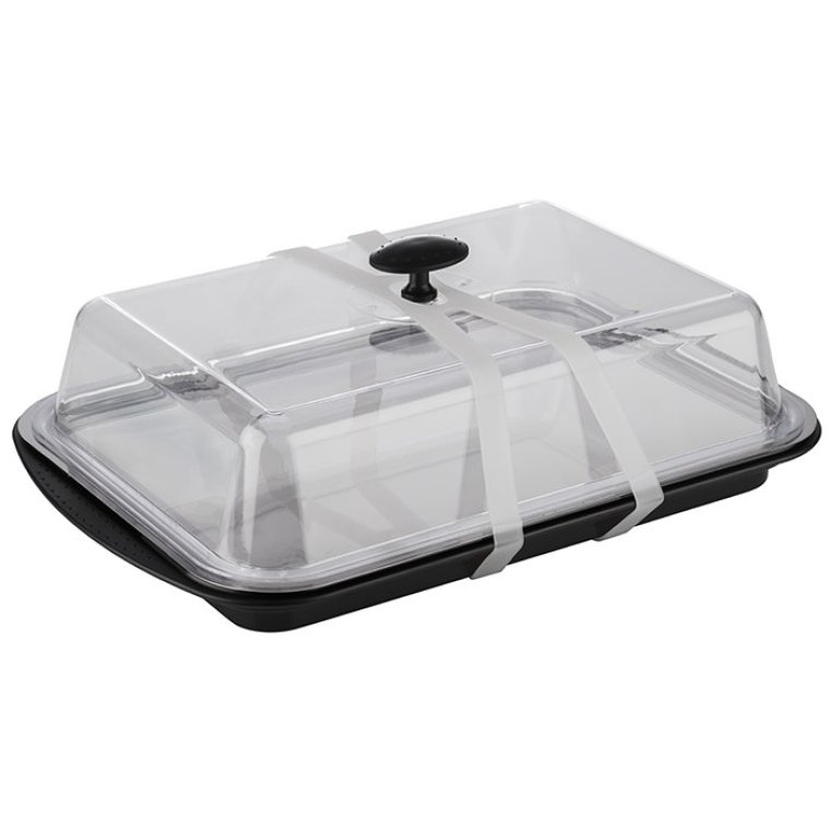 Thermo Tablett-Set kühlbar eckig 43 x 29 cm Schwarz, transparent
