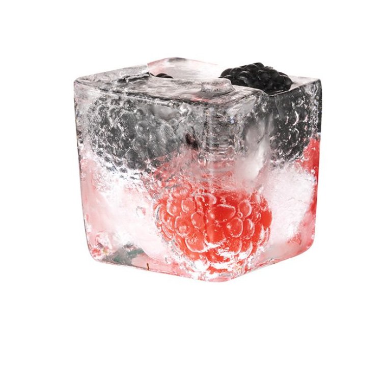 Eiswürfelform mit Deckel 15,5 x cm 2er Set