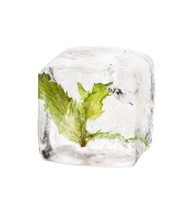 Eiswürfelform mit Deckel 15,5 x cm 2er Set