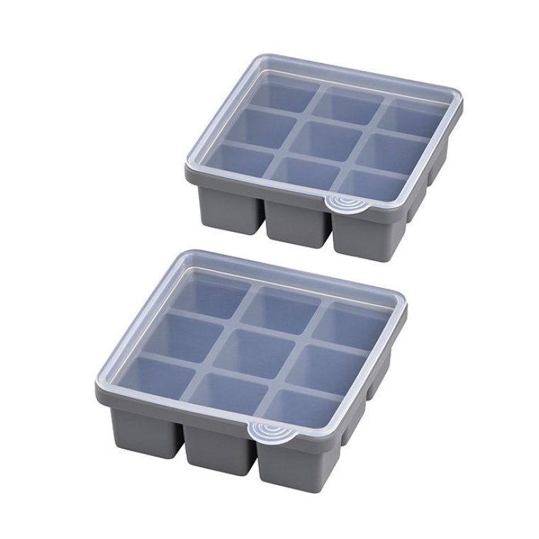 Eiswürfelform mit Deckel 15,5 x cm 2er Set