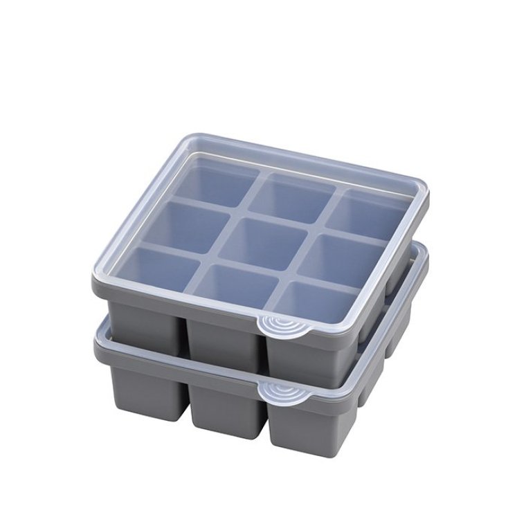 Eiswürfelform mit Deckel 15,5 x cm 2er Set