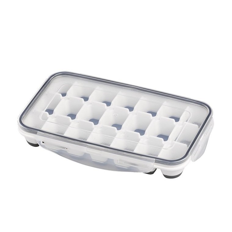 Eiswürfelform mit Deckel 25 x 15 cm 2er Set