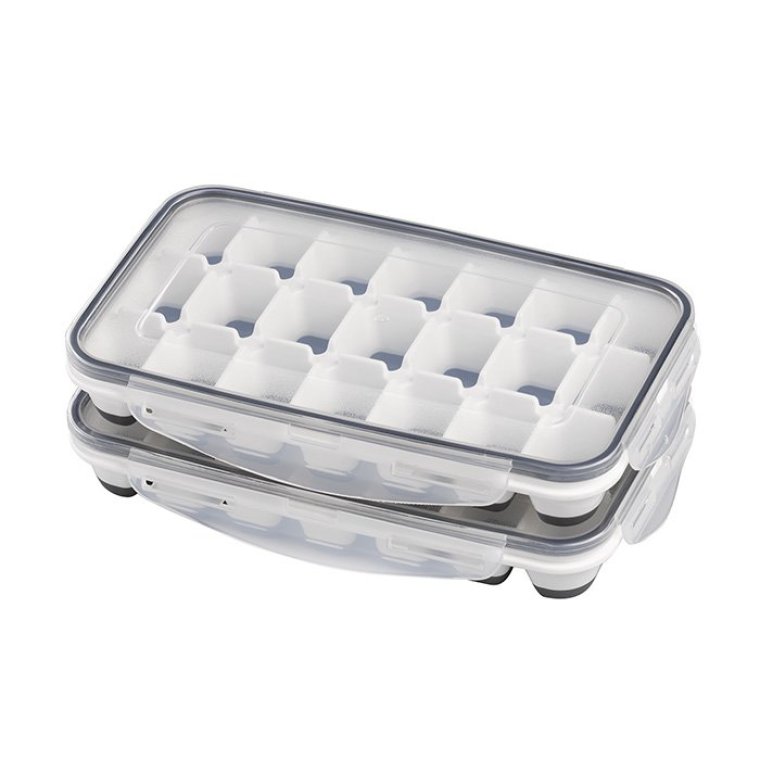 Eiswürfelform mit Deckel 25 x 15 cm 2er Set