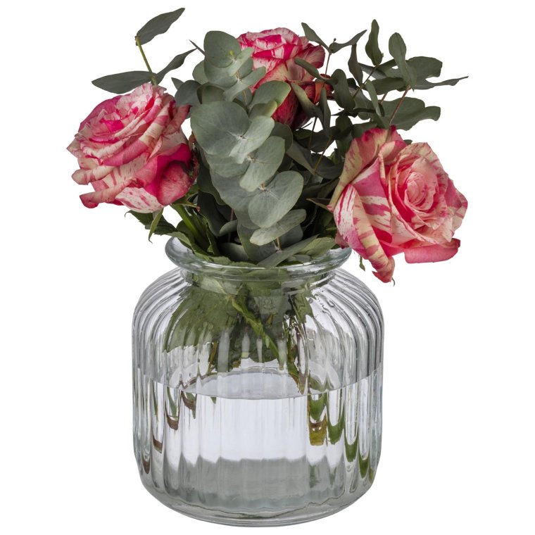 Vorratsglas COOKIEGO Ø 17 cm, H: 24,5 cm