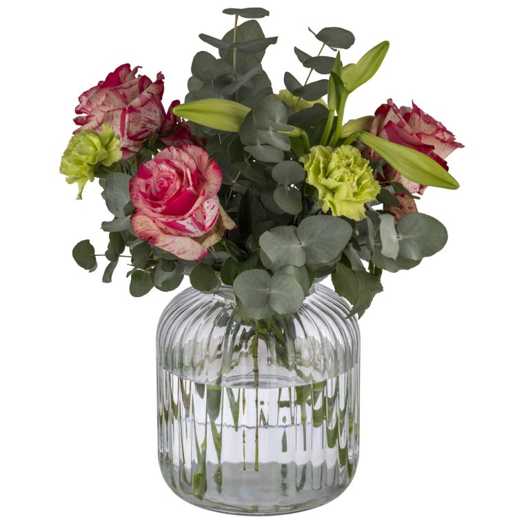 Vorratsglas COOKIEGO Ø 17,5 cm, H: 27 cm