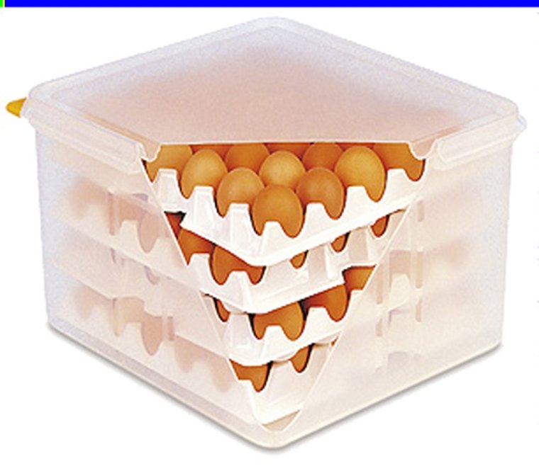 Eierbox 35,5 cm GN 2/3 Kunststoff