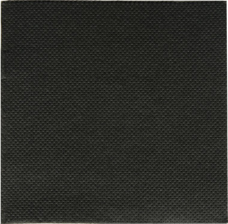 Serviette 20 x cm schwarz 125er Pack