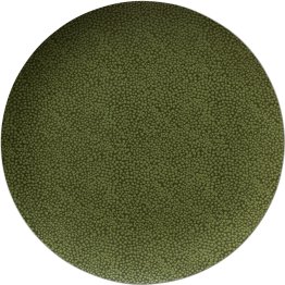 Teller flach rund coup 21 cm Pearls Greens Porzellan