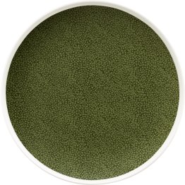 Teller flach rund coup 25 cm Pearls Greens Porzellan