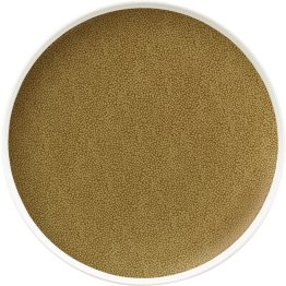 Teller flach rund coup 25 cm Pearls Olive Porzellan