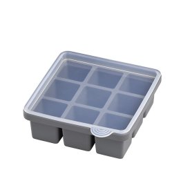 Eiswürfelform mit Deckel 15,5 x cm 2er Set