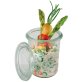 Weck-Glas mit Deckel 160 ml 12er-Pack
