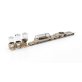 Kühlbox BRIDGE GN 1/1 Ahorn 635 x 425 mm