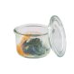 Weck-Glas mit Deckel 200 ml 12er-Pack