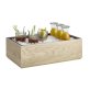 GN 1/1 Holzbox VALO 53 x 32,5 cm, H: 16,5 cm