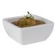 Schale FRIENDLY 6,5 x cm, H: 3 cm