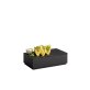 GN 1/3 Holzbox -VALO- 32,5 x 17,6 cm, H: 8,5 cm Schwarz